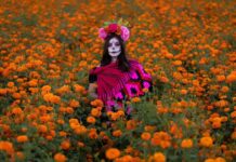 Semana de Noche de Muertos en Michoacán atraerá hasta un millón de visitantes: Ramírez Bedolla