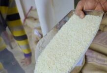 Los precios de los alimentos se disparan un 5,8 % en un año afectados por las guerras y el clima