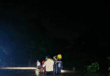 CFE atiende afectaciones en ocho estados por huracán ‘Simon’ y ciclón post-tropical ‘Rachel’