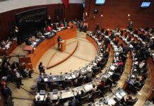 Aprueba Senado la nueva ley catastral y registral; enviará el decreto al Ejecutivo
