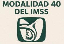 Por fraude en altas pensiones se decidió regular Modalidad 40