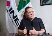 Guadalupe Taddei renuncia al INE