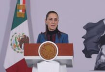 Sheinbaum; llama a revisar gestiones de Taddei y deslindar responsabilidades; traicionó la confianza del pueblo