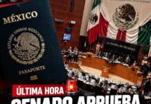 Senado declaró la constitucionalidad de la reforma en materia de doble nacional
